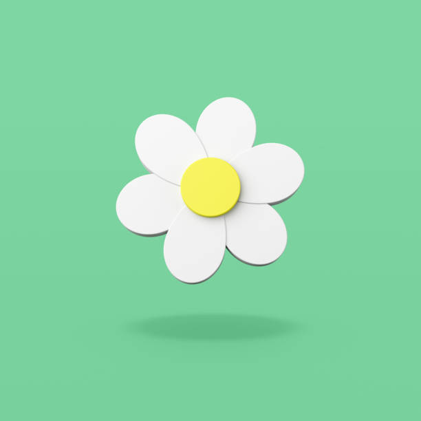 istock Daisy Flower Shape on Green Background 1295729134