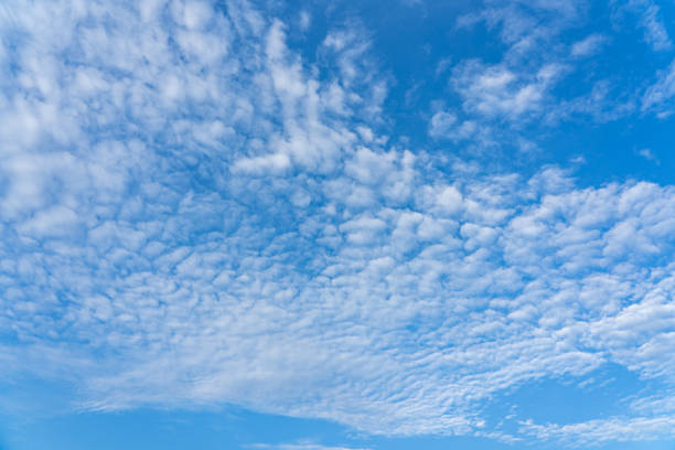 istock Mackerel sky or buttermilk sky of altocumulus clouds 1295731528