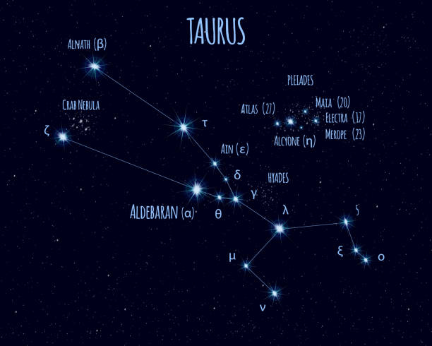 ilustraciones, imágenes clip art, dibujos animados e iconos de stock de constelación tauro, ilustración vectorial con los nombres de estrellas básicas - las pléyades