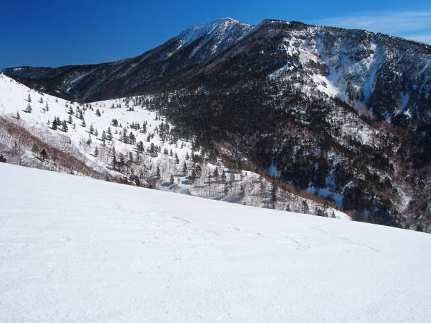 istock Mt.Azumaya in winter(from Mt.Nekodake) 1295743204