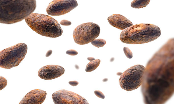 istock Cocoa beans levitate on a white background 1295745488
