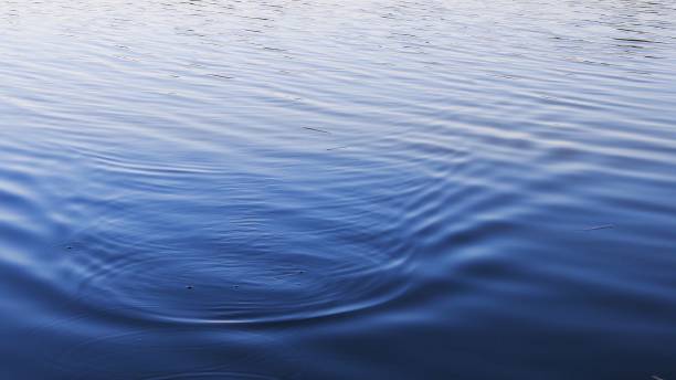 istock Blue lake water background with rippled surface and copy space 1295747265
