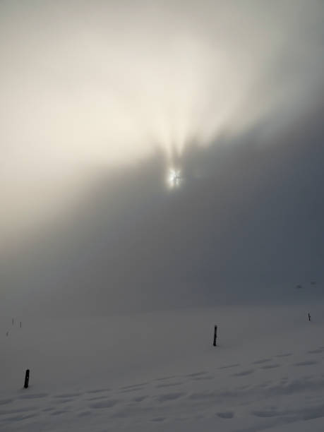 Sunlight in thick fog in snow-covered landscape