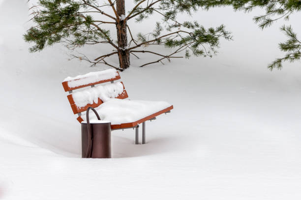 istock snow-covered abandoned and forgotten bench in an empty park to which there is not a single trace 1295752772