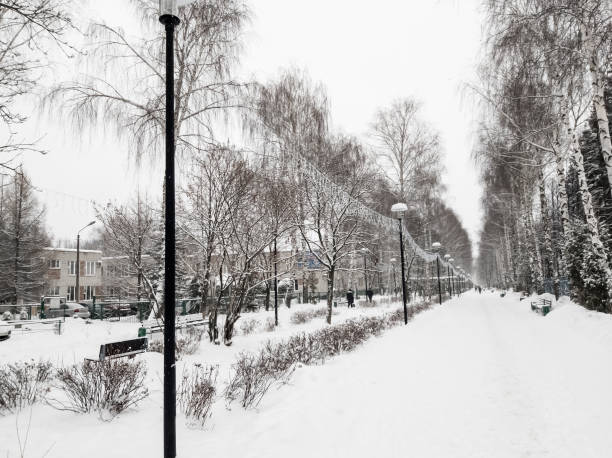 istock winter cityscape, alley with people during a snowfall 1295752860