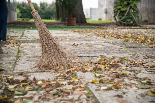 istock street sweeper sweeping the leaves 1295753746