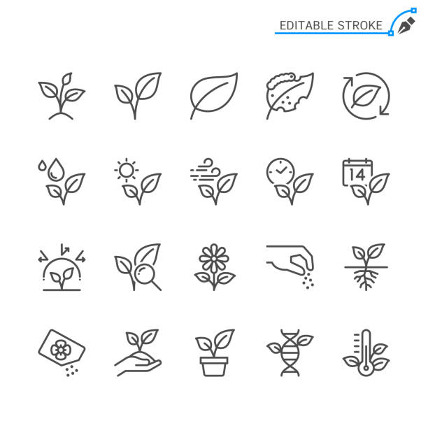 pflanzenlinie symbole. bearbeitbarer strich. pixel perfekt. - leaves stock-grafiken, -clipart, -cartoons und -symbole