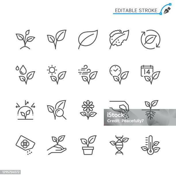 Pflanzenlinie Symbole Bearbeitbarer Strich Pixel Perfekt Stock Vektor Art und mehr Bilder von Icon