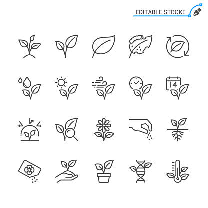 Plant line icons. Editable stroke. Pixel perfect.