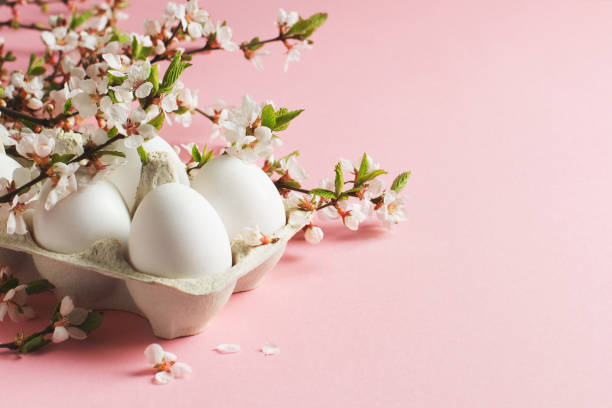 istock White eggs and twigs with flowers on pink background 1295754717