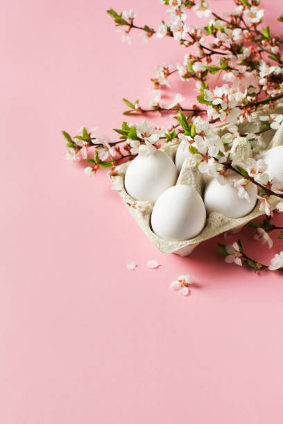istock White eggs and twigs with flowers on pink background 1295754724