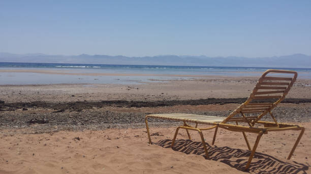 istock Sinai beach after sunrise 1295754738