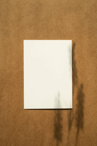 istock Plant Shadows and Empty Card Mockup 1295755392