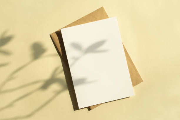 istock Plant Shadows and Empty Card Mockup 1295755396