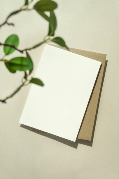 istock Plant Shadows and Empty Card Mockup 1295755399