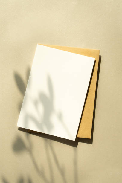 istock Plant Shadows and White Card Models 1295755400