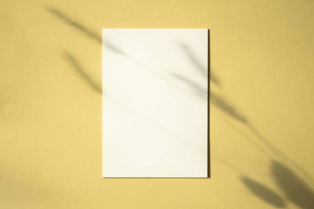 istock Plant Shadows and Empty Card Mockup 1295755406