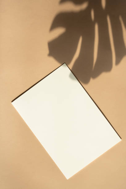 istock Plant Shadows and Empty Card Mockup 1295755407