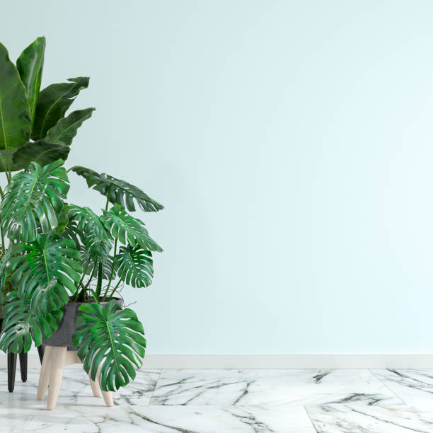 Empty interior with lush foliage decoration and copy space