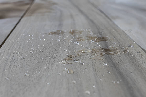 istock Wood with Water repellent 1295758114