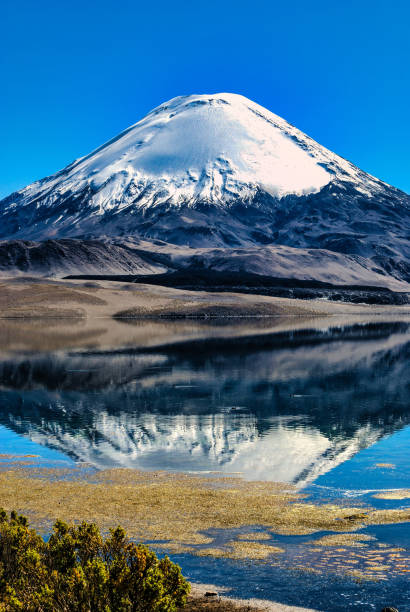 istock Volcano Parinacota (6342 m), Lauca National Park, Chile 1295762198