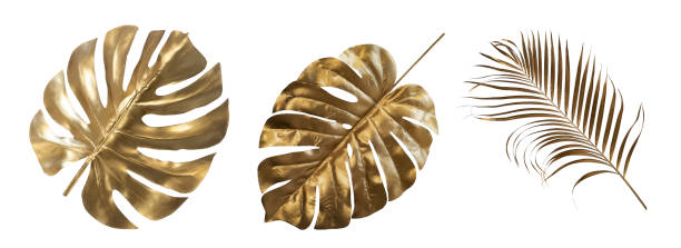 istock abstract green leaf texture, nature background, tropical leaf 1295762249