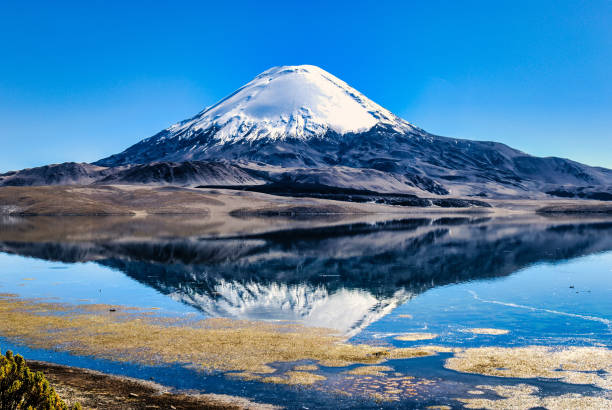 istock Volcano on the Altiplano Chile 1295762352
