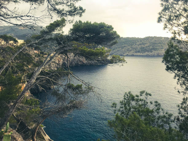 istock Mallorca and the sea 1295763195