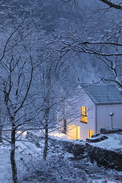 istock Modern white house with light windows surronded by mountain, snow and trees 1295763702