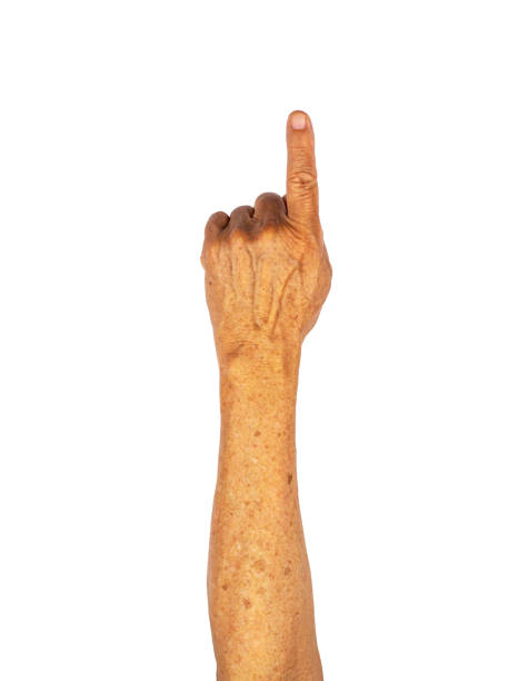 istock One or index finger pointing by senior hand isolated on white background with clipping path 1295764458