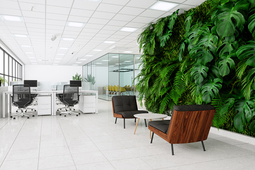 Eco-Friendly Open Plan Office And Waiting Area With Armchairs, Coffee Table And Vertical Garden.