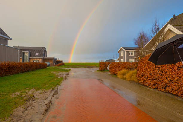 Double rainbow and yellow grey rain clouds over a windy rainy green meadow in bright sunlight in winter, Leeuwarden, Friesland, The Netherlands, January 9, 2021