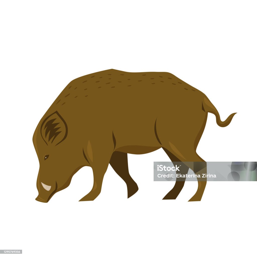 Boaring Vector Wild Boar Isolated On White Background Vector Graphics Stock ...