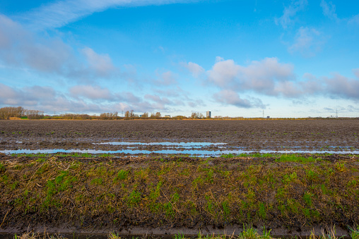 Highrise of a city along a muddy agricultural field under a blue cloudy sky in winter, Almere, Flevoland, The Netherlands, January 8, 2021
