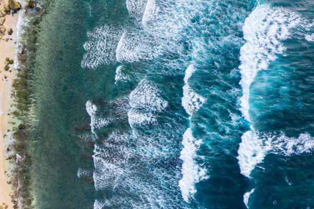 istock Big ocean waves hitting a coral reef. View from above. 1295770714