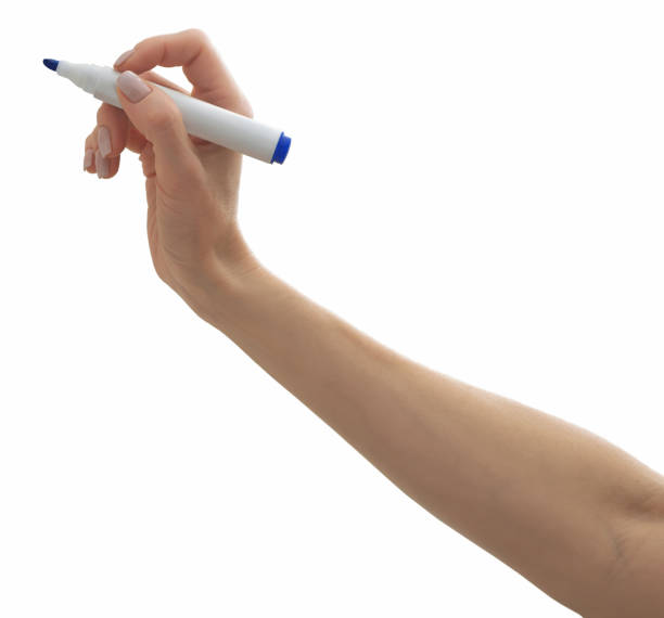 istock Female hand with a marker is isolated on the white background. 1295771696