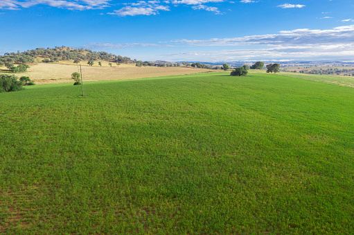 Typical farmland between Cowra and Canowindra in the central west of New South Wales Australia