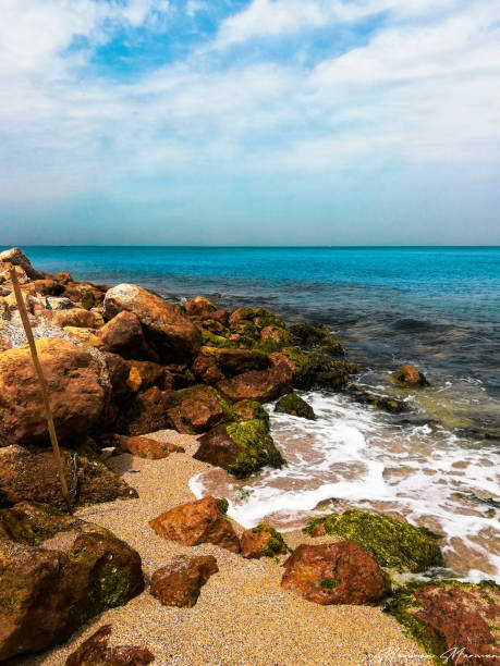 istock beautiful beach photo in Alexandria, Egypt 1295772706