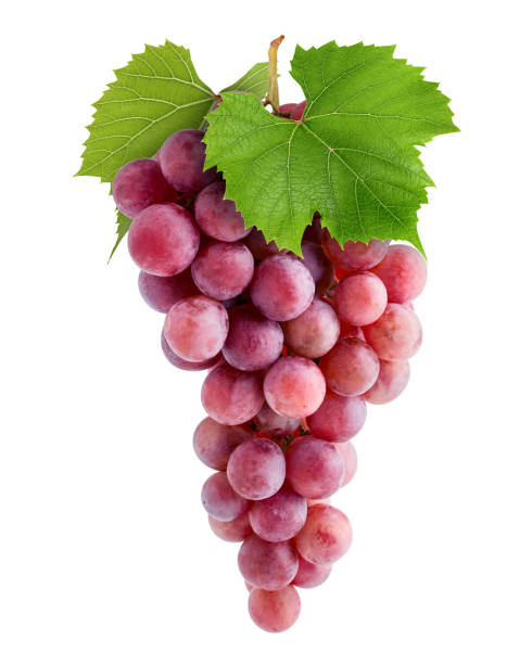 istock Red grape, isolated on white background, clipping path, full depth of field 1295773444