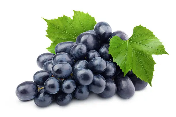 Photo of purple grape, isolated on white background, clipping path, full depth of field