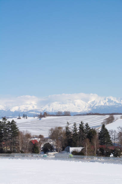 istock Fields covered with snow-melting agent  and snowy mountains on a sunny winter day 1295775698