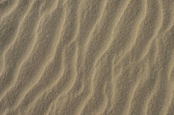 istock The texture of a sandy surface with natural waves 1295776579