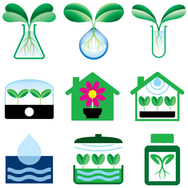 hydroponika i kryte ikony ogrodnicze - greenhouse plant nursery plant lighting equipment stock illustrations