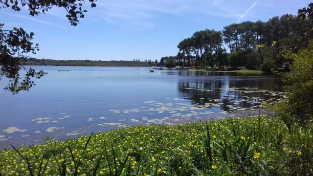 istock Beautiful view on a lake 1295779027