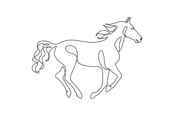 illustrazioni stock, clip art, cartoni animati e icone di tendenza di cavallo da corsa - horse silhouette