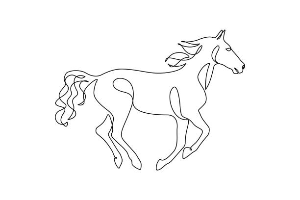 Running horse Horse in continuous line art drawing style. Running horse black linear sketch isolated on white background. Vector illustration gallop animal gait stock illustrations