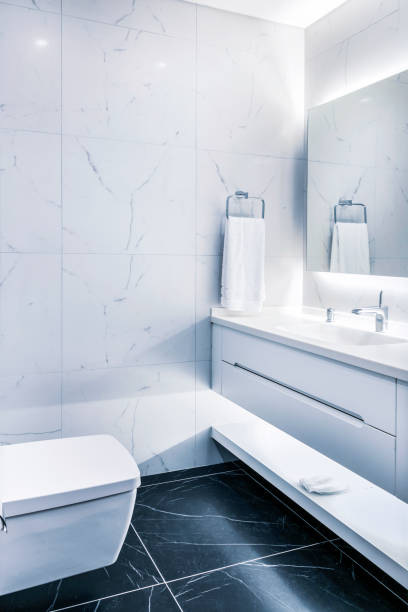 istock Hospital Toilet Washbasin Bathroom 1295781692