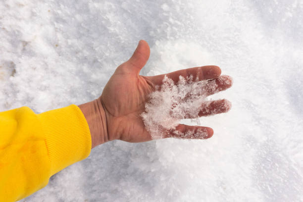 istock snow in large beautiful snowflakes in a man's hand 1295782790