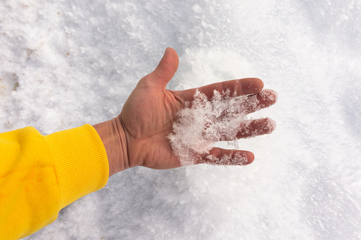 snow in large beautiful snowflakes in a man's hand in a yellow hoodie