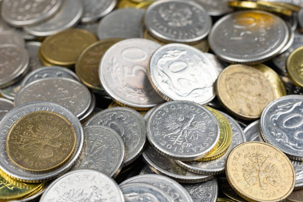 istock Polish coin macro photo. textura or background 1295783344
